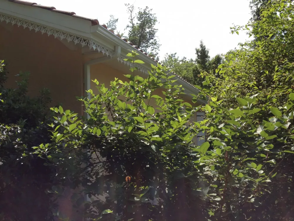 accessoires de décoration